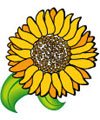 Blumen, Garten, und Planzen