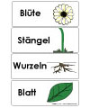 Planzenwörter