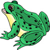 Frosch und Teich Ideen