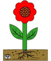 Thema Blumen