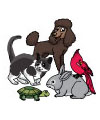 Hunde, Katze, Maus, Haustiere basteln und lernen