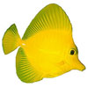 Fisch und Meerestiere