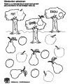Obstsorten erkennen Arbeitsblatt