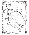 Schmetterling und Marienkäfer Ausmalbild