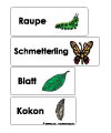 Raupe und Schmetterling Wörterkarten