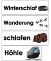 Tiere im Winter – Wörterkarten