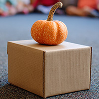 „Wo ist der Kürbis? – Raum-Lage-Orientierung fur Kinder „Wo ist der Kürbis? – Raum-Lage-Orientierung fur Kinder