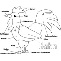 Projekt Huhn und Ei - Basteln und Spielideen für Kindergarten und Kita
