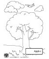 Apfelbaum