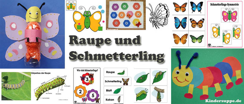 Projekt Raupe und Schmetterling Ideen fur Kindergarten und Kita