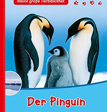 Der Pinguin - Pinguin Sachbuch fur Kinder