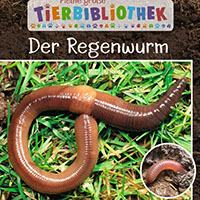 Der Regenwurm: Sachbuch fur Kinder