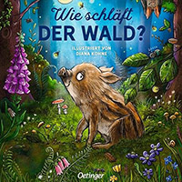 Wie schlaft der Wald - Bilderbuch Wie schlaft der Wald - Bilderbuch