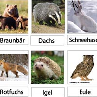 Wissenswertes zu den Tieren der "Handschuhgeschichte"