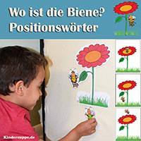 Wo ist die Biene? Positionswörter