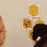 Die Entwicklung der Honigbiene - Naturkunde fur Kinder