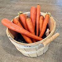 Kleiner Hase zähl mit mir! Matheaktivität fur Kinder