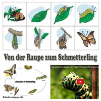 Von der Raupe zum Schmetterling - Naturkunde und Druckvorlagen fur Kinder