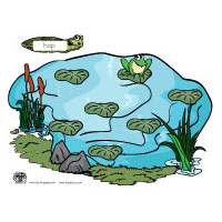Projekt Frosch und Teich Kindergarten und KitaIdeen