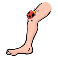 Projekt Das Bin Ich Und Mein Koerper Kindergarten Und Kita Ideen