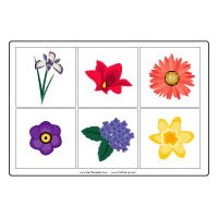 Projekt Blumen Und Pflanzen Kindergarten Und Kita Ideen