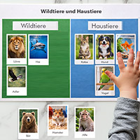 Naturkunde fur die Vorschule: Tiere sortieren: Wildtiere und Haustiere