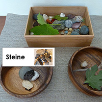 Waldschätze sortieren