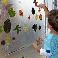 Projekt Herbst Kindergarten und Kita-Ideen