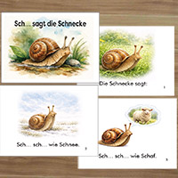 Sch… sagt die Schnecke /Schn/ Büchlein