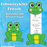 Frosch Lebenszyklus Bastelarbeit fur Kinder, Kindergarten, Grundschule