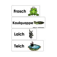 Wortschatzkarten zum Thema Frosch und Teich