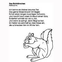 Gedicht eichhörnchen Eichhörnchen