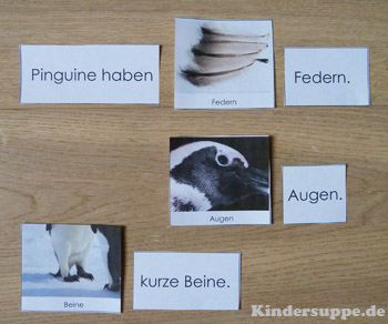 Pinguine haben spielen und lernen im Kindergarten