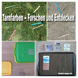 Tarnfarben ? Forschen und Entdecken