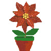 weihnachtsstern
