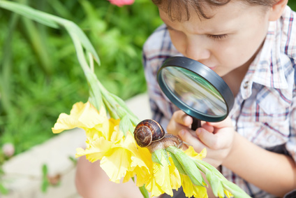 Kinder Gartentiere entdecken und erforschen Kindergarten