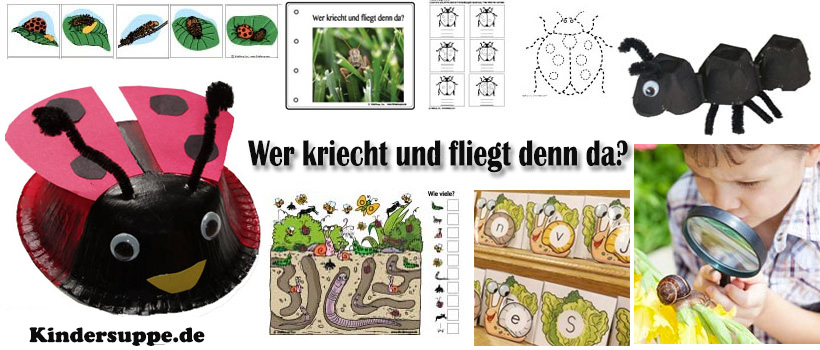 Tiere im Garten - Ideen und Spiele für Kita und Kindergarten