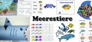 Meer und Meerestiere Basteln und Spiel-Ideen fuer Kindergarten und Kita