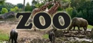 Kindergarten Projekt Zoo und Tiere
