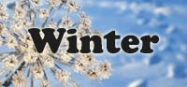 Winter Kindergarten Thema und Projekte